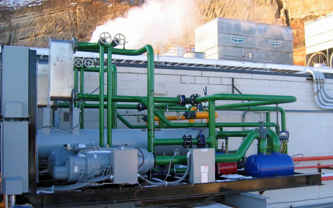 Transforming Waste Heat into Savings at Gold-N-Plump